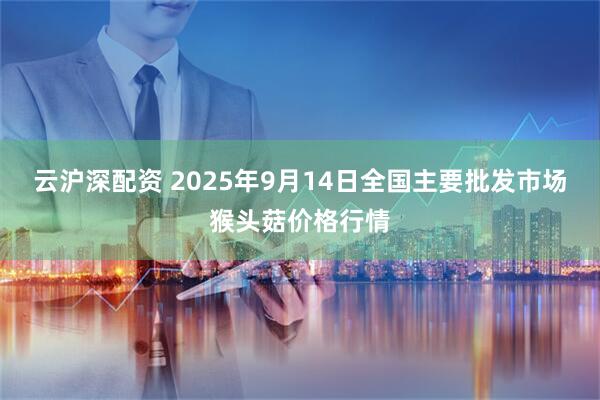 云沪深配资 2025年9月14日全国主要批发市场猴头菇价格行情