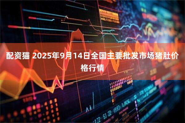 配资猫 2025年9月14日全国主要批发市场猪肚价格行情
