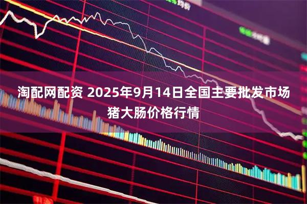 淘配网配资 2025年9月14日全国主要批发市场猪大肠价格行情