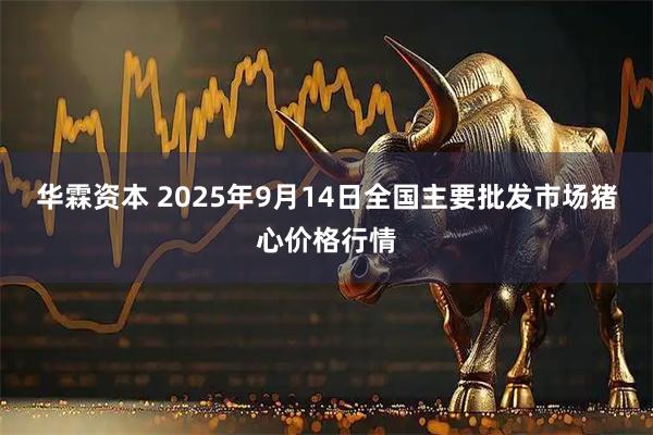 华霖资本 2025年9月14日全国主要批发市场猪心价格行情