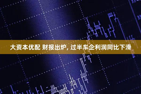 大资本优配 财报出炉, 过半车企利润同比下滑