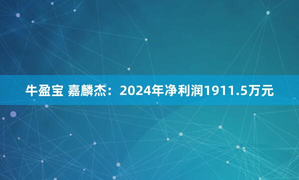 牛盈宝 嘉麟杰：2024年净利润1911.5万元