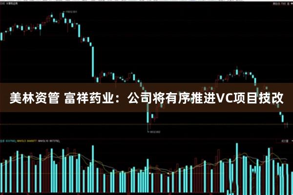美林资管 富祥药业：公司将有序推进VC项目技改