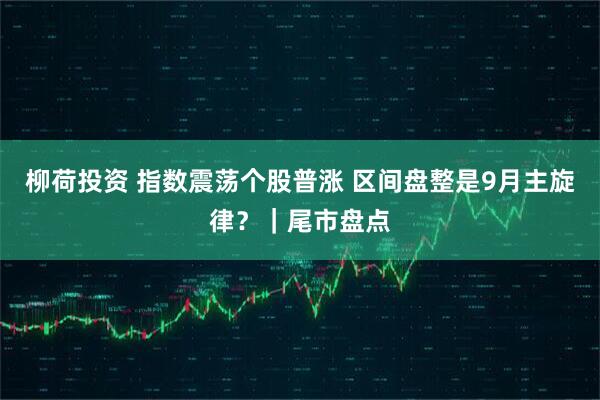 柳荷投资 指数震荡个股普涨 区间盘整是9月主旋律？｜尾市盘点